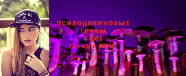 apvp Тобольск