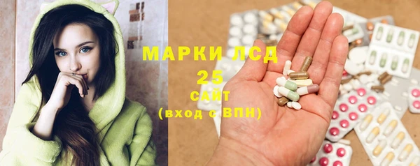 apvp Тобольск