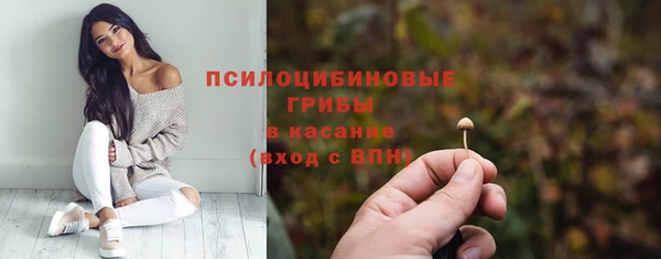 прущие крисы Тихвин