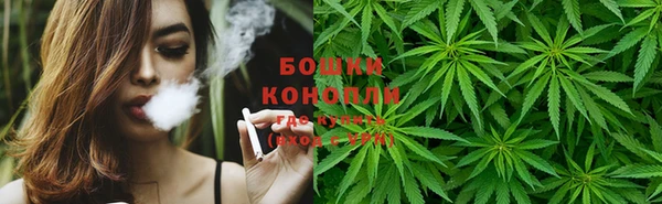 apvp Тобольск