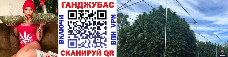 Купить закладки  Беломорск  Бошки марихуана индика 